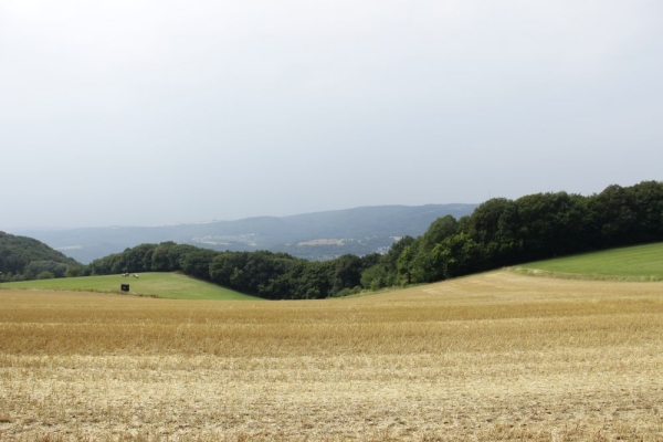 Koerperlandschaft - (c) M Brunnert.jpg